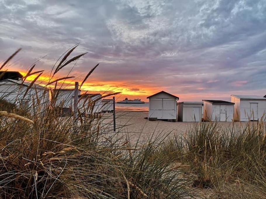 Appart 4 Pers Plage Vue Mer Calais Eksteriør billede